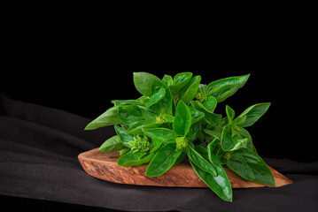 Mediterranean diet: fresh basil on dark background