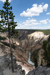 Yellowstone National Park Iconic Canyon View