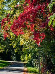 Naklejka premium Natur und Wiesen Landschaft im Herbst
