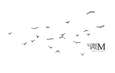 A flock of flying birds. Free birds. Vector illustration