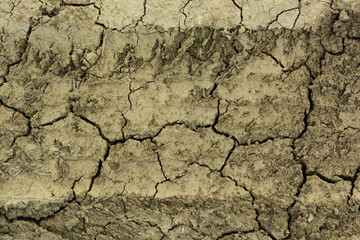 Fototapeta premium siccità 