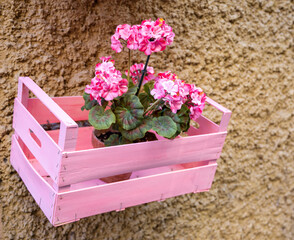 Decorative pink box with Geranium flower on the wall of the house