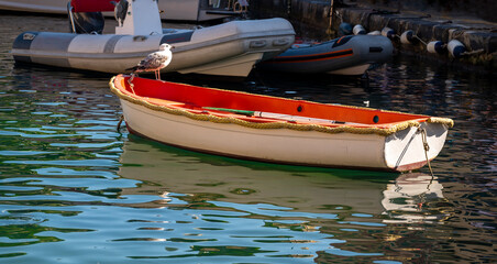 boat anchored at the pier