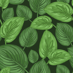 Floral vector seamless pattern with many large exotic leaves on dark green background. Tropical concept.  Trendy textile print design. Decorative  art composition. Natural layout. Hand drawn element.