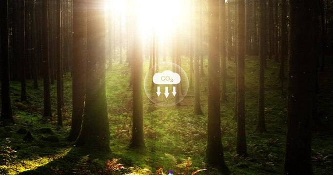 Carbon dioxide icon inside sunny magic forest.