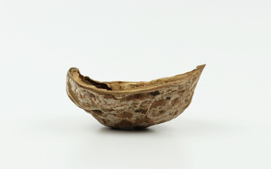 Curved walnut shell in ship shape on white background