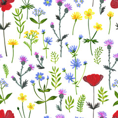 Wild herbs pattern. Wildflowers in summer. Red poppies, cornflowers, forget-me-nots, yellow buttercups, ferns