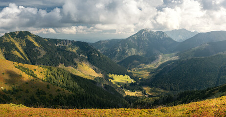 landscape in the summer