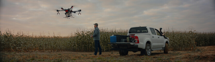 Farmer controlling a huge intelligent agriculture drone with spray nozzles near corn field early in the morning © supamotion