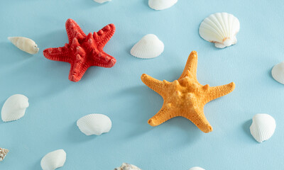 Fototapeta na wymiar beach scene concept with sea shells and starfish on a blue background