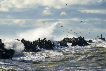 Big waves crash against the harbor breakwater concrete tetrapods during stormy weather