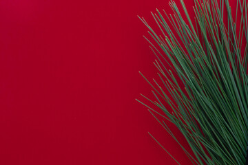 Obraz premium red background with pine needles