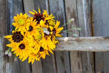 yellow flowers on wooden background