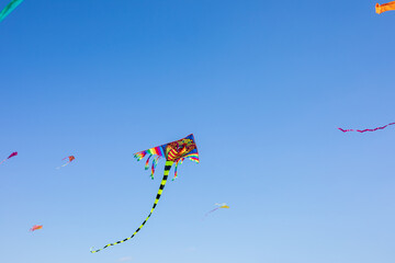 Kites in the blue sky with empty space for text, flying kites multicolored. Entertainment concept
