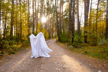 A child in sheets with cutout for eyes like a ghost costume in an autumn forest scares and...