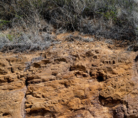 Dry Tan Sandstone Cliff with Silver and Green Brush Above.