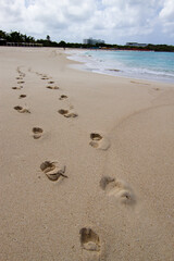 Foot steps one sandy beach