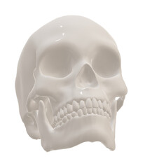  human skull halloween