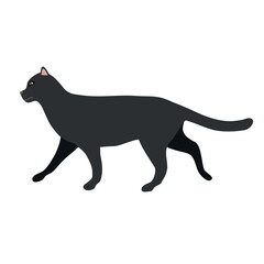 Vector flat hand drawn black cat isolated on white background
