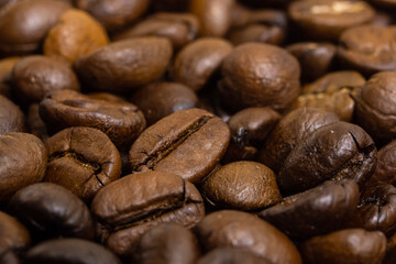 coffee beans isolated in macro
