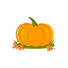 Pumpkin and leaves , autumn, october, november,  vegetables,  orange pumpkin,  leaf fall,  food,  vector, autumn illustration, pumpkin,  garden,  harvest, crop,  bright,  fruit, fruitage, garden stuf.