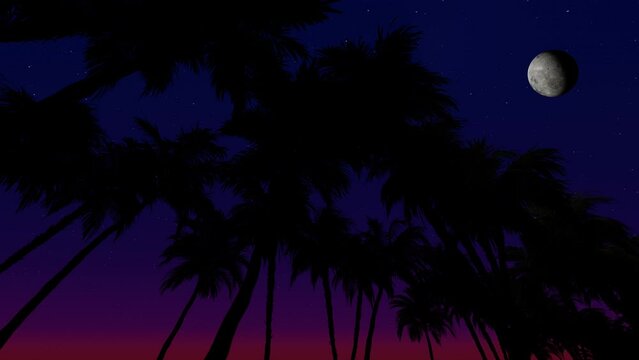 Movement through palm alley bottom view of coconut palm trees at moon light. 3d Synthwave animated background. Seamless loop.