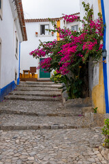 The historic Portuguese village of Obidos and narrow streets of cobblestone and beautiful flowers. Obidos, Portugal
