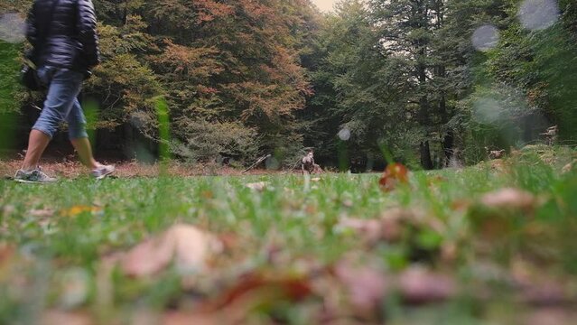 Joven mujer, pasea con su perro por el parque en oto&ntilde;o 
