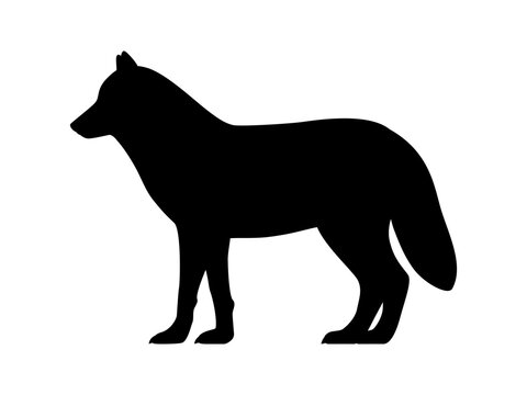 Arctic wolf silhouette