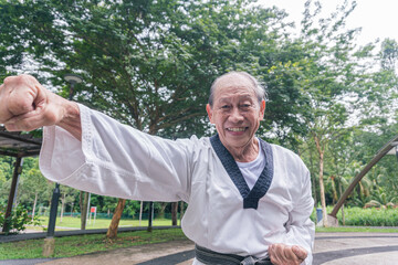 An active elderly man doing Taekwondo at a park