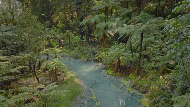 Aerial of blue geothermal spring in the forest, Rotorua, New Zealand
