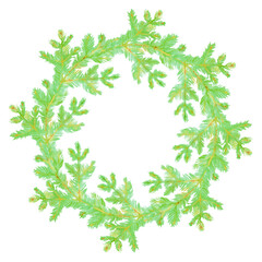Fototapeta premium Green spruce branches. Hand-drawn watercolor wreath. Artistic illustration on a white background.