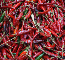 red hot chilli peppers