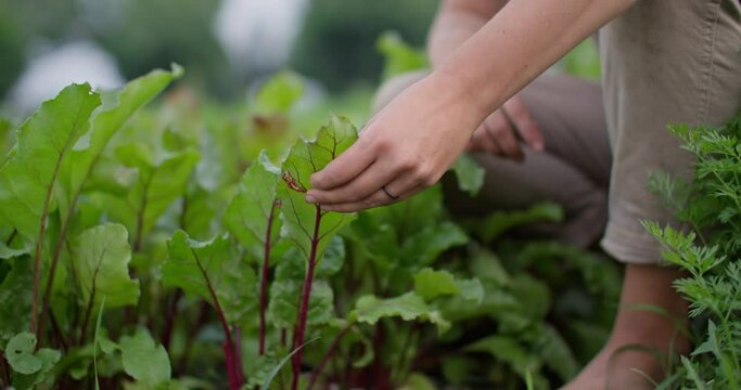 Young female hand feels plant, connecting to nature