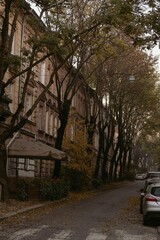 Fototapeta premium Architecture, road, beautiful buildings, trees, autumn 