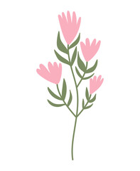 Hand drawn herbal, floral clipart. Color doodle vector.