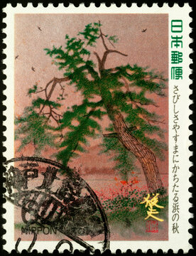 Pine tree on postage stamp