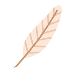 Bird wing light feather element. Writing quill cartoon flat vector illustration.