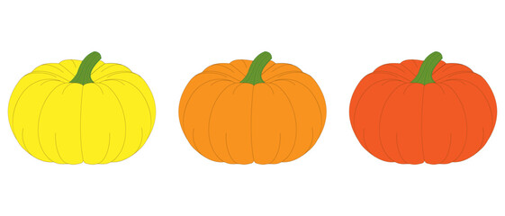 Pumpkins of different colors (yellow, orange, red). Vector illustration.