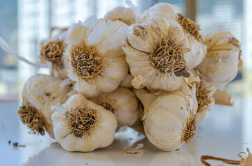 
bunch of garlic