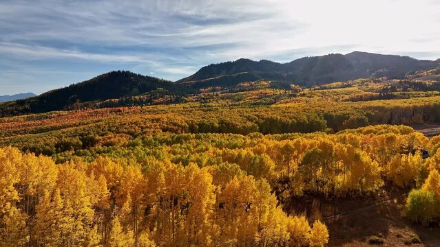 Aerial view slowly rotating viewing the colorful Autumn landscape in the Utah Mountains.