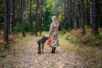 Back view of walking woman and dog in autumn wood