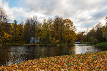 Alexander Park in autumn in October. The background