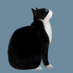 ハチワレ模様の猫、白黒の猫、座っているハチワレ、猫の横顔、猫の横顔、タキシードを着た猫、タビ猫が座っているイラスト、鉢割れが座っているイラスト、ハチワレが座っているイラスト、猫がお座りしているイラスト