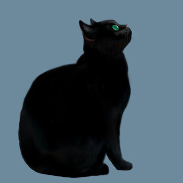 黒猫 の画像 911 165 件の Stock 写真 ベクターおよびビデオ Adobe Stock