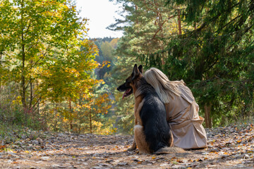 Back view of sitting woman and dog in autumn wood on the mountain