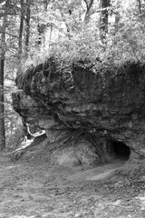 Wolf Rock Cave Entrance Tunnel Black and White