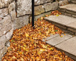 11 October 2022. Forres, Moray, Scotland. This is and area of Grant Park in Forres where the trees leaves are changing colour and falling.