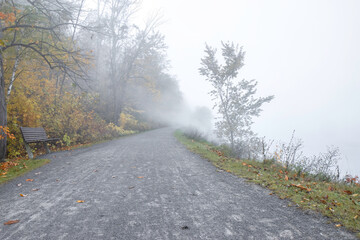 Fototapeta premium A pathway along a river and through woods in autumn on a foggy morning, empty park bench, nobody