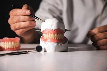 Dentist showing a model of teeth and gums